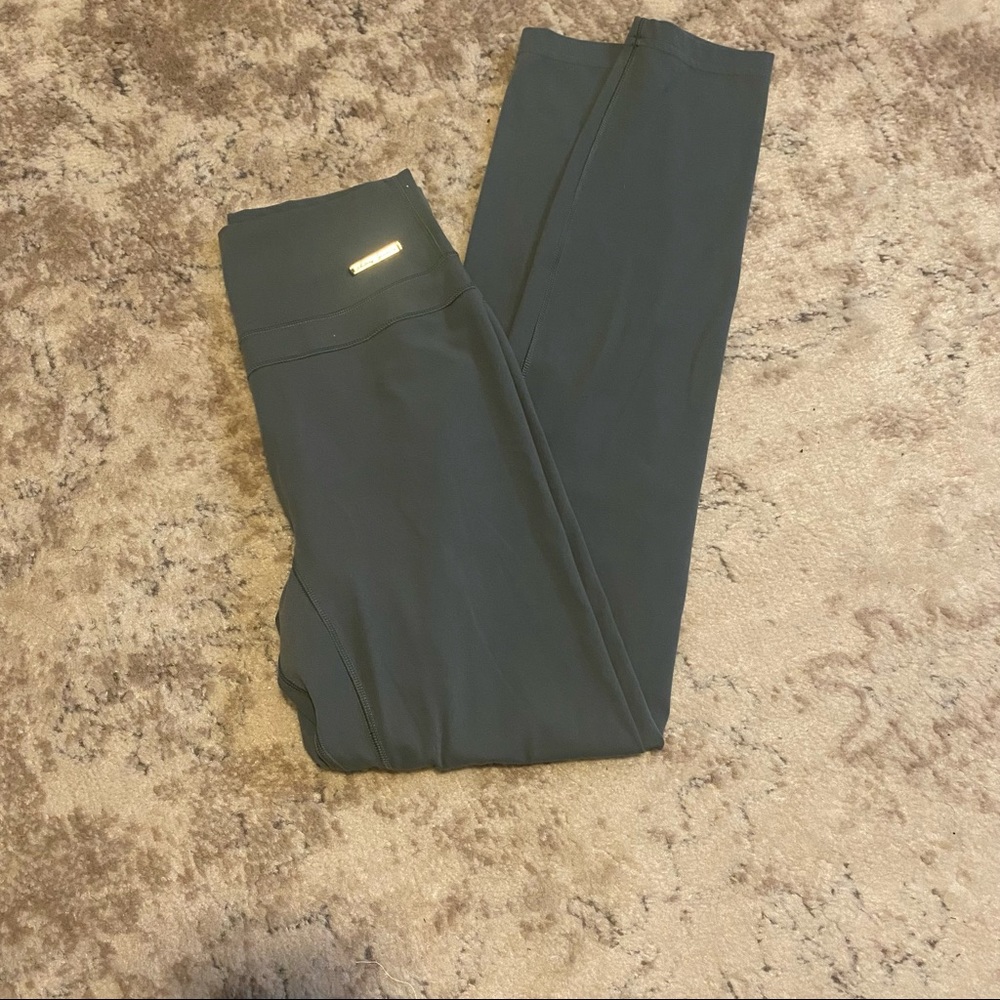 Whitney Simmons gymshark v3